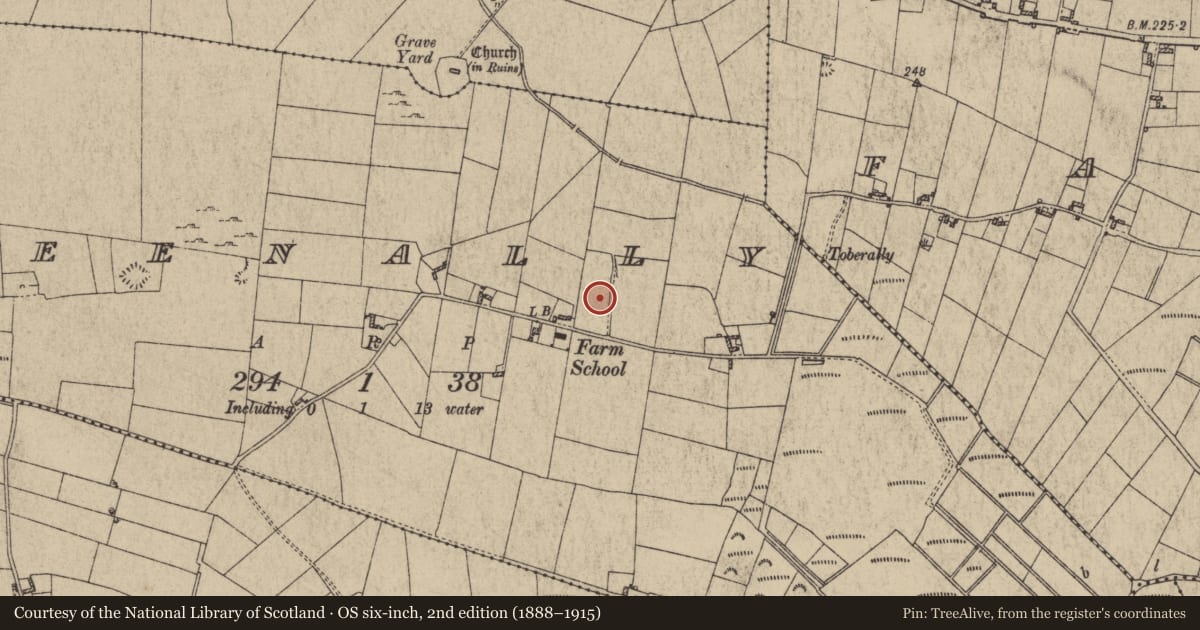 Ordnance Survey six-inch map, 2nd edition (1888–1915) covering the location of Kiln - corn-drying, Moneenally, County Galway, with a pin at the register's coordinates