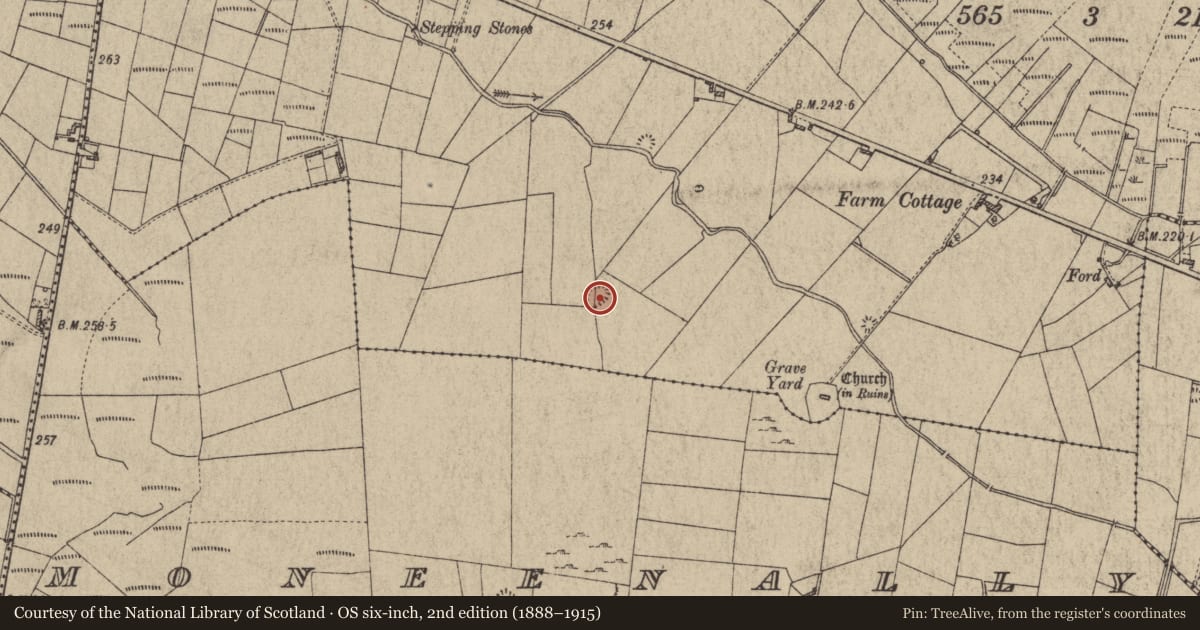 Ordnance Survey six-inch map, 2nd edition (1888–1915) covering the location of Quarry, Moorfield, County Galway, with a pin at the register's coordinates