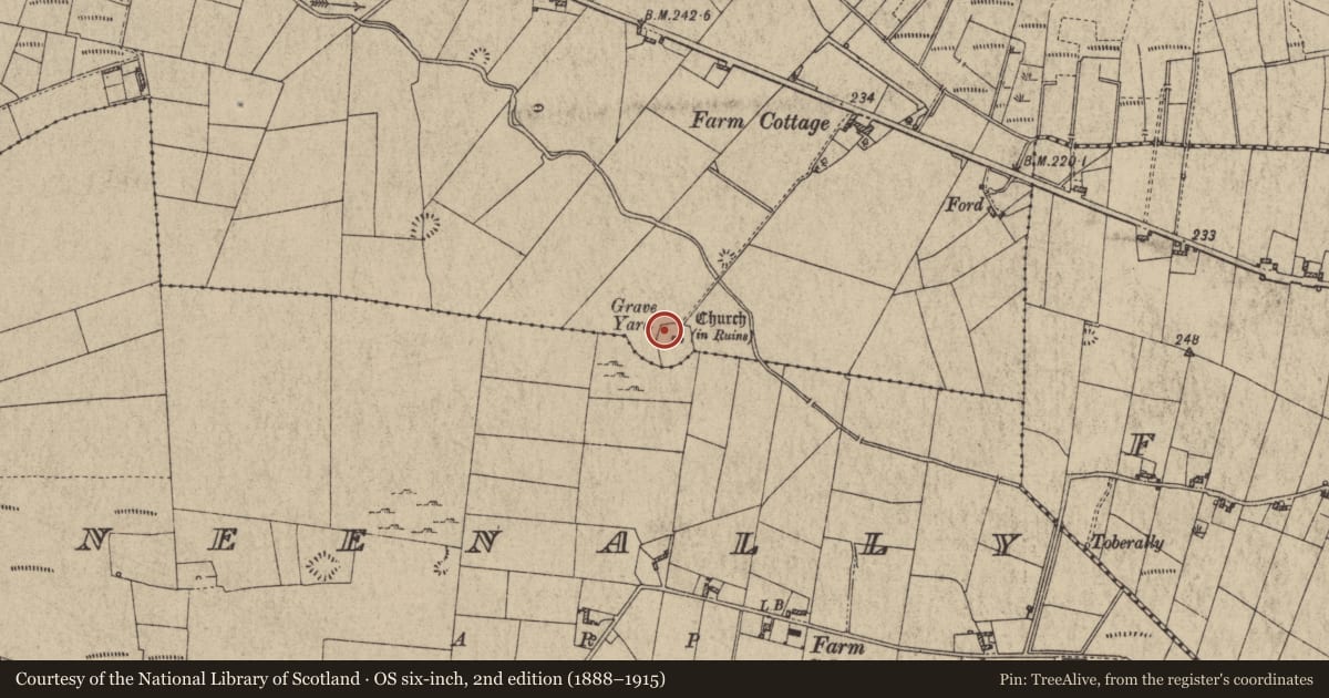 Ordnance Survey six-inch map, 2nd edition (1888–1915) covering the location of Ecclesiastical enclosure, Moneenally, Moorfield, County Galway, with a pin at the register's coordinates