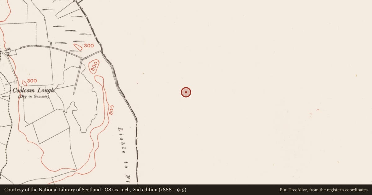Ordnance Survey six-inch map, 2nd edition (1888–1915) covering the location of Ringfort - rath, Pollynoon, County Galway, with a pin at the register's coordinates