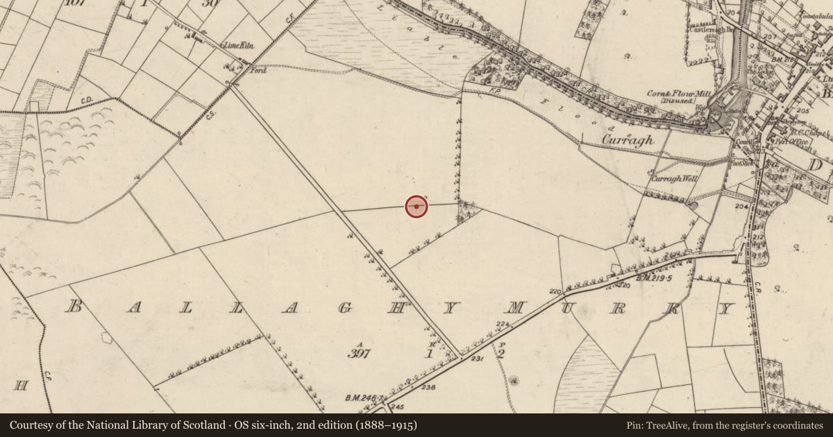 Ordnance Survey six-inch map, 2nd edition (1888–1915) covering the location of Ringfort - unclassified, Ballaghymurry, County Galway, with a pin at the register's coordinates