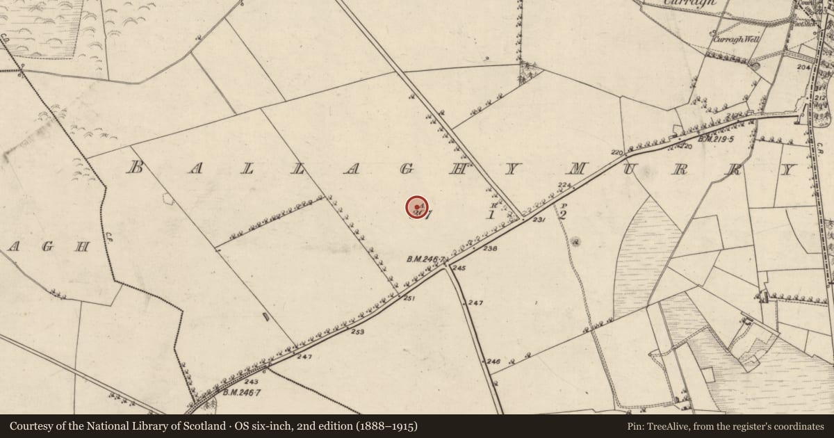 Ordnance Survey six-inch map, 2nd edition (1888–1915) covering the location of Enclosure, Ballaghymurry, County Galway, with a pin at the register's coordinates