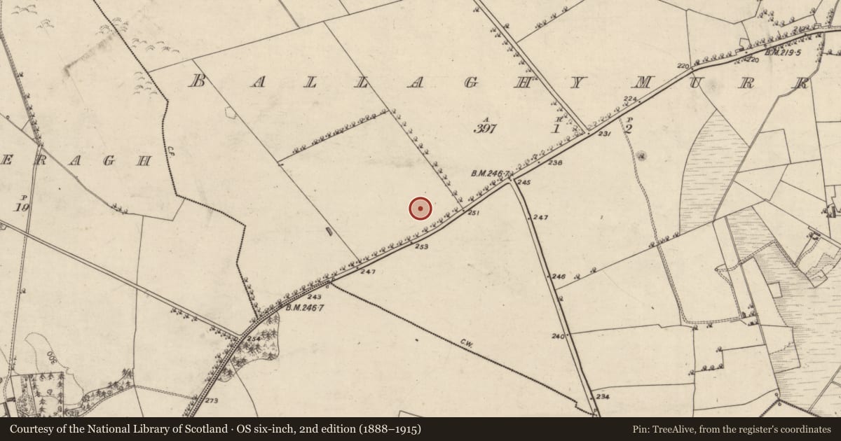 Ordnance Survey six-inch map, 2nd edition (1888–1915) covering the location of Ringfort - rath, Ballaghymurry, County Galway, with a pin at the register's coordinates