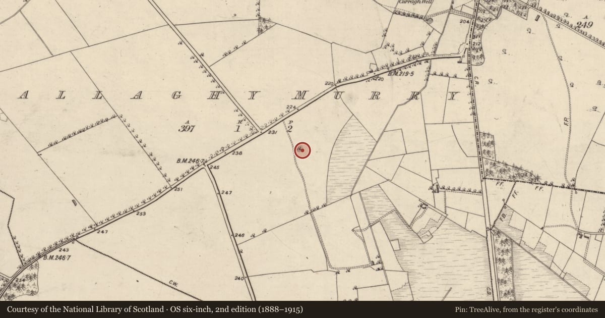 Ordnance Survey six-inch map, 2nd edition (1888–1915) covering the location of Well, Ballaghymurry, County Galway, with a pin at the register's coordinates