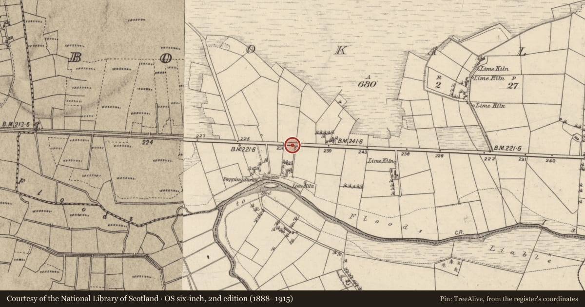 Ordnance Survey six-inch map, 2nd edition (1888–1915) covering the location of Kiln - corn-drying, Bookalagh, County Galway, with a pin at the register's coordinates
