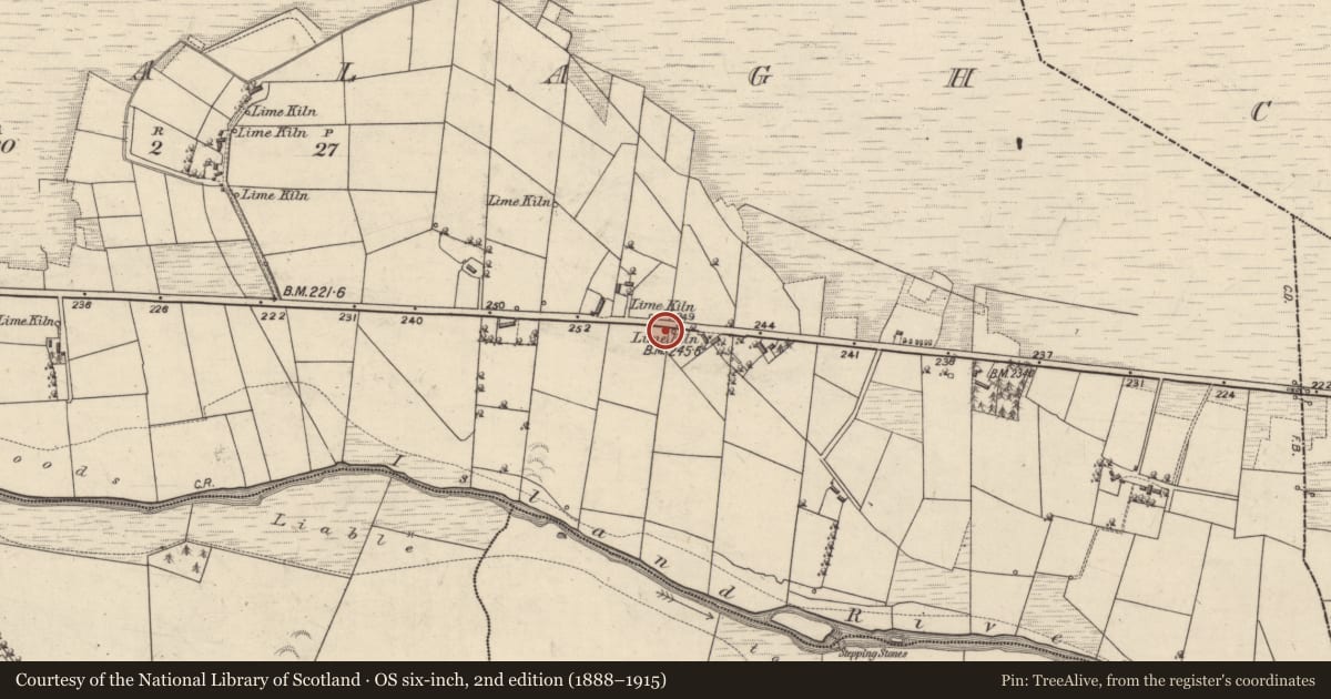 Ordnance Survey six-inch map, 2nd edition (1888–1915) covering the location of Kiln - corn-drying, Bookalagh, County Galway, with a pin at the register's coordinates