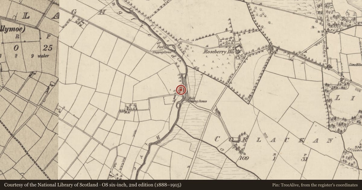 Ordnance Survey six-inch map, 2nd edition (1888–1915) covering the location of Kiln - corn-drying, Bracklagh, County Galway, with a pin at the register's coordinates