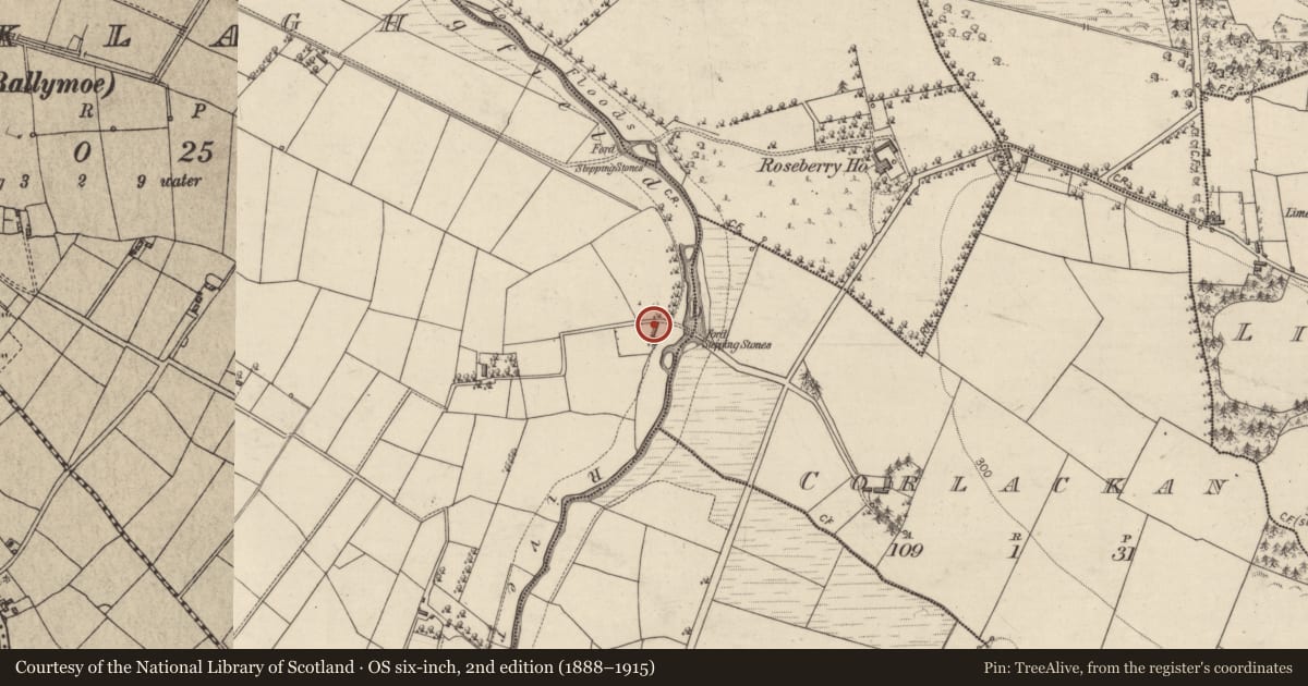 Ordnance Survey six-inch map, 2nd edition (1888–1915) covering the location of Mill - corn, Bracklagh, County Galway, with a pin at the register's coordinates