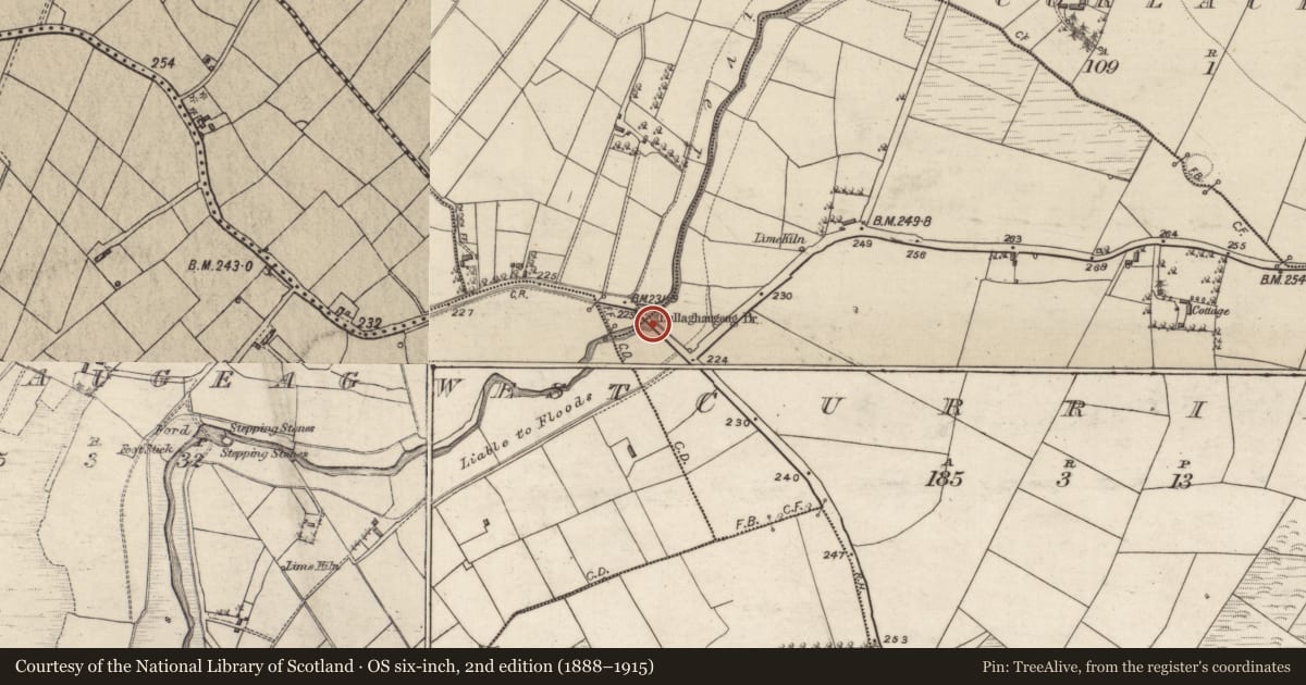 Ordnance Survey six-inch map, 2nd edition (1888–1915) covering the location of Bridge, Curries, Bracklagh, County Galway, with a pin at the register's coordinates