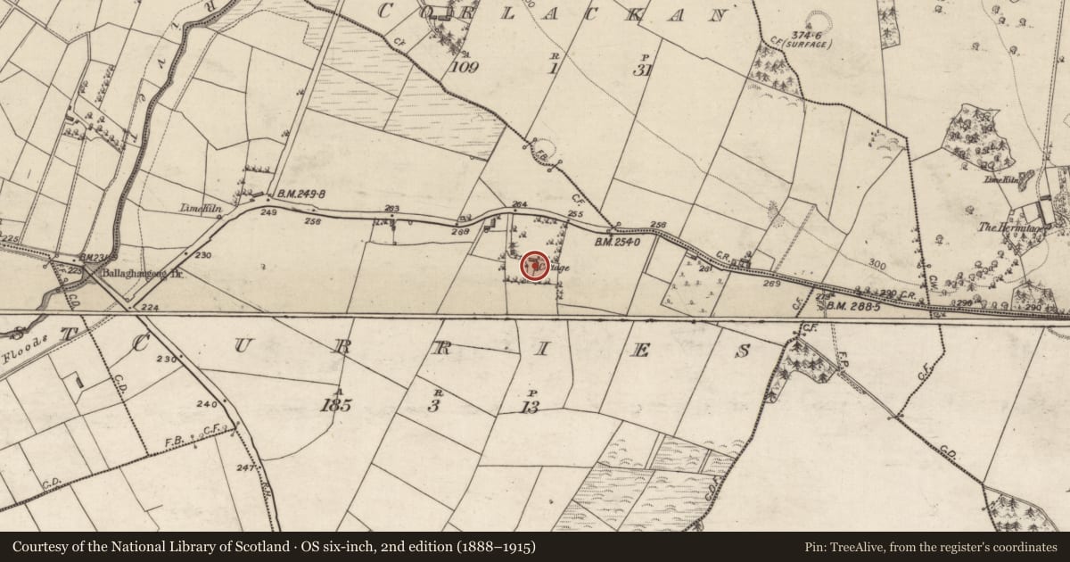 Ordnance Survey six-inch map, 2nd edition (1888–1915) covering the location of House - 18th/19th century, Curries, County Galway, with a pin at the register's coordinates