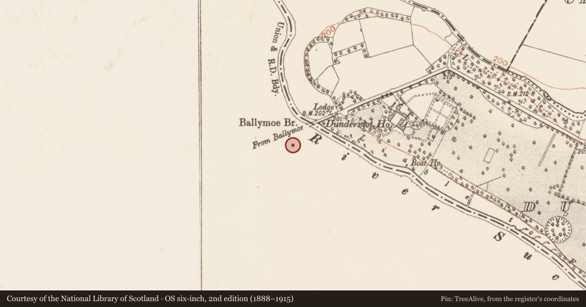 Ordnance Survey six-inch map, 2nd edition (1888–1915) covering the location of Well, Durrow, County Galway, with a pin at the register's coordinates