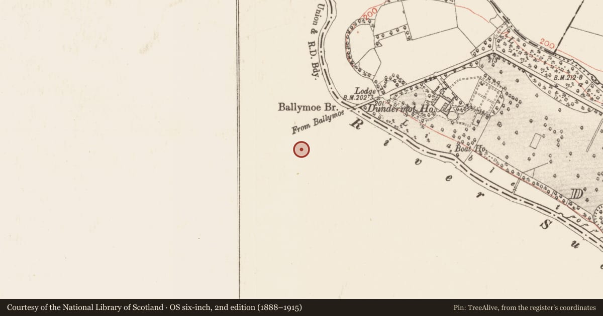 Ordnance Survey six-inch map, 2nd edition (1888–1915) covering the location of Church, Durrow, County Galway, with a pin at the register's coordinates