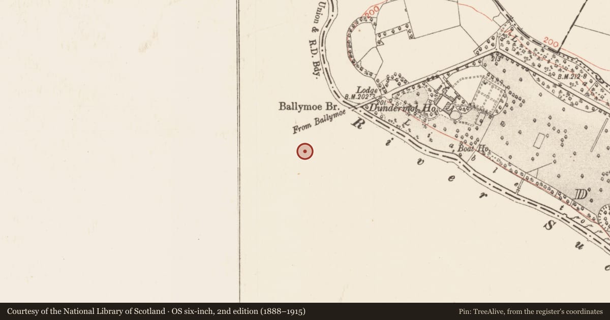 Ordnance Survey six-inch map, 2nd edition (1888–1915) covering the location of Graveyard, Durrow, County Galway, with a pin at the register's coordinates
