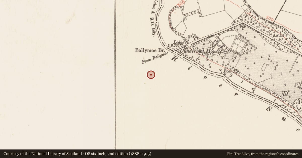 Ordnance Survey six-inch map, 2nd edition (1888–1915) covering the location of Earthwork, Durrow, County Galway, with a pin at the register's coordinates