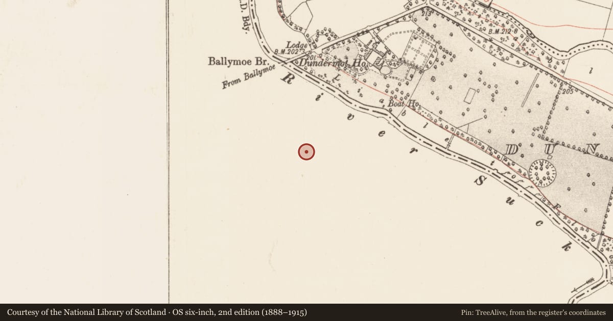Ordnance Survey six-inch map, 2nd edition (1888–1915) covering the location of Ringfort - rath, Durrow, County Galway, with a pin at the register's coordinates