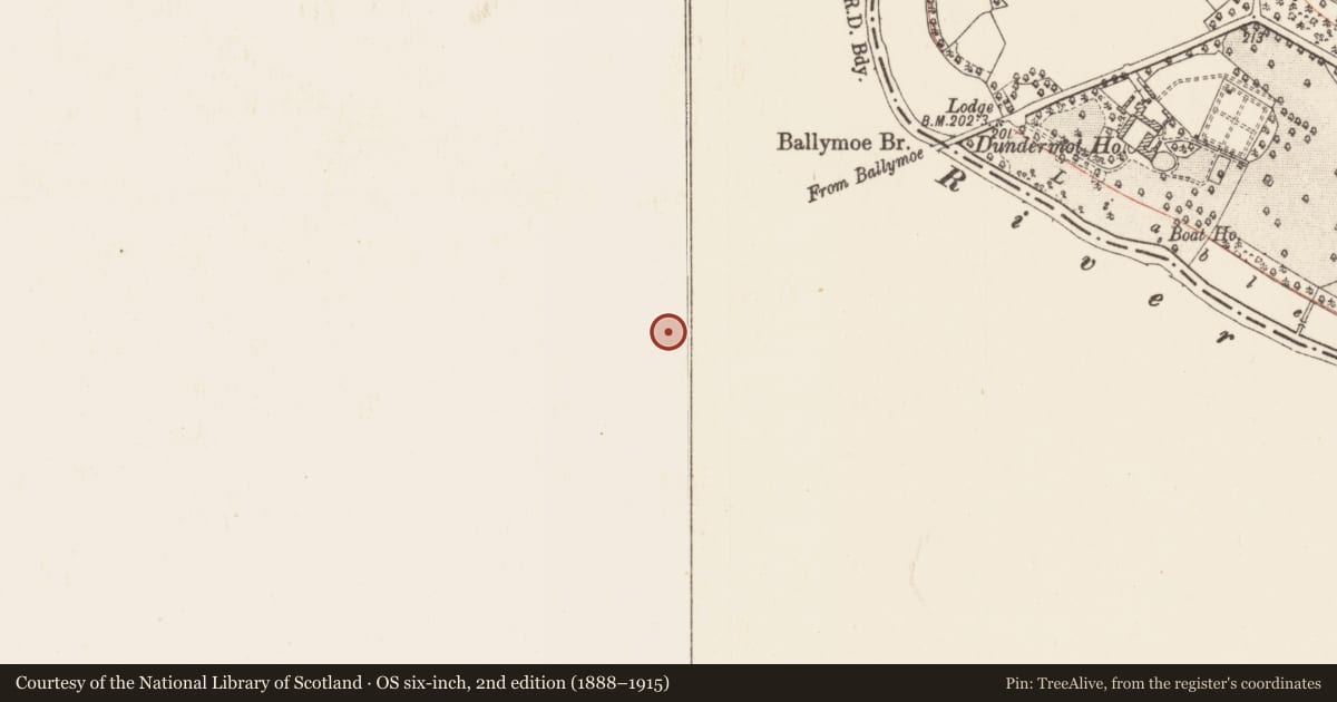 Ordnance Survey six-inch map, 2nd edition (1888–1915) covering the location of Mill - corn, Durrow, County Galway, with a pin at the register's coordinates