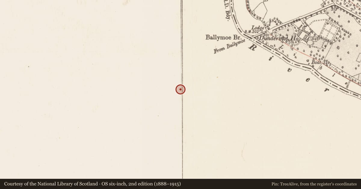 Ordnance Survey six-inch map, 2nd edition (1888–1915) covering the location of Kiln - corn-drying, Durrow, County Galway, with a pin at the register's coordinates