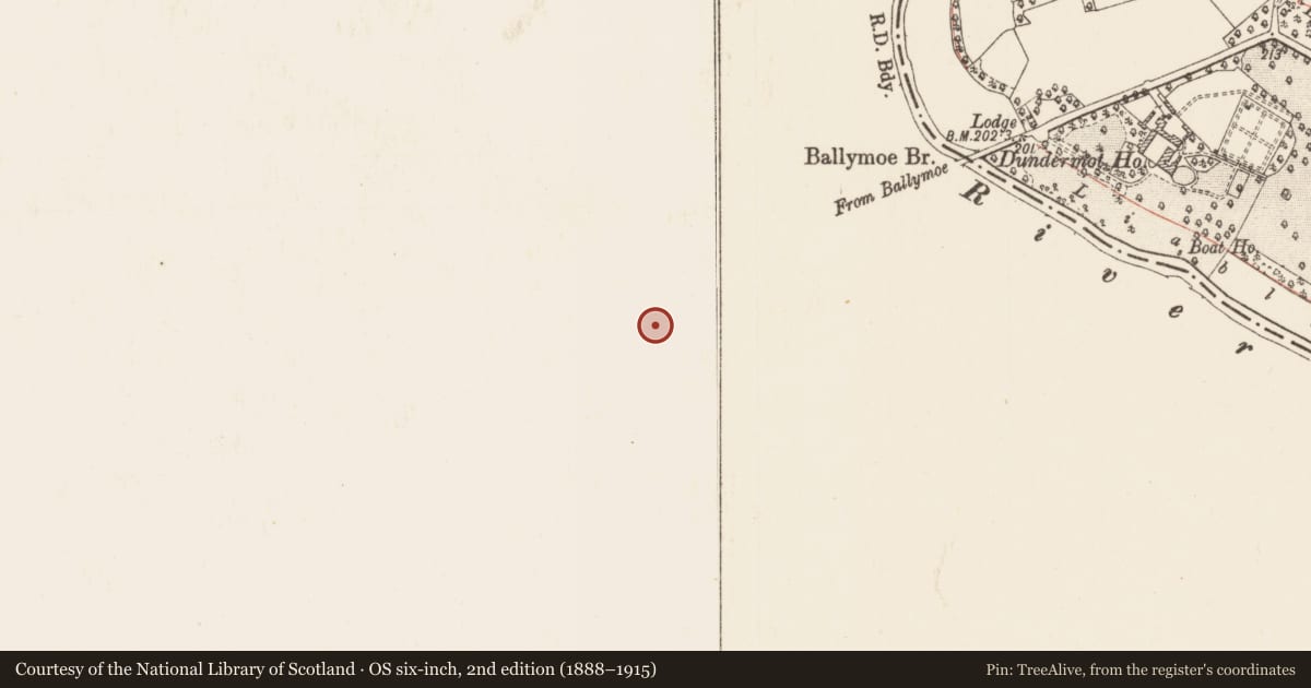 Ordnance Survey six-inch map, 2nd edition (1888–1915) covering the location of Mill - corn, Durrow, County Galway, with a pin at the register's coordinates