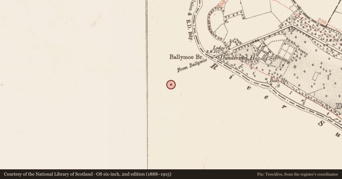 Ordnance Survey six-inch map, 2nd edition (1888–1915) covering the location of Town, Durrow, County Galway, with a pin at the register's coordinates