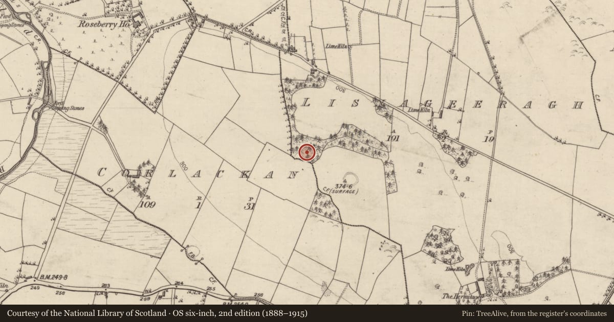 Ordnance Survey six-inch map, 2nd edition (1888–1915) covering the location of Enclosure, Lisnageeragh (ED Ballymoe), County Galway, with a pin at the register's coordinates