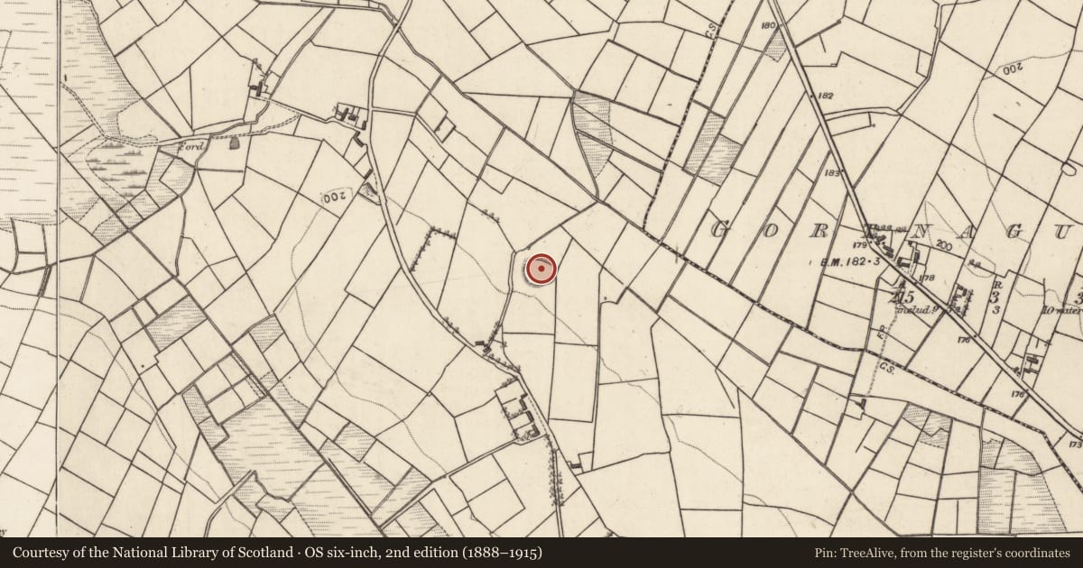 Ordnance Survey six-inch map, 2nd edition (1888–1915) covering the location of Ringfort - rath, Carrownurlaur, County Galway, with a pin at the register's coordinates