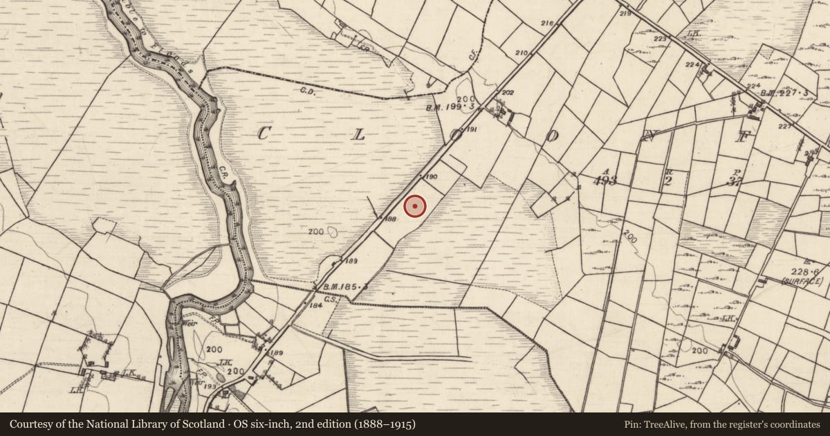 Ordnance Survey six-inch map, 2nd edition (1888–1915) covering the location of Kiln - lime, Cloonfane, County Galway, with a pin at the register's coordinates