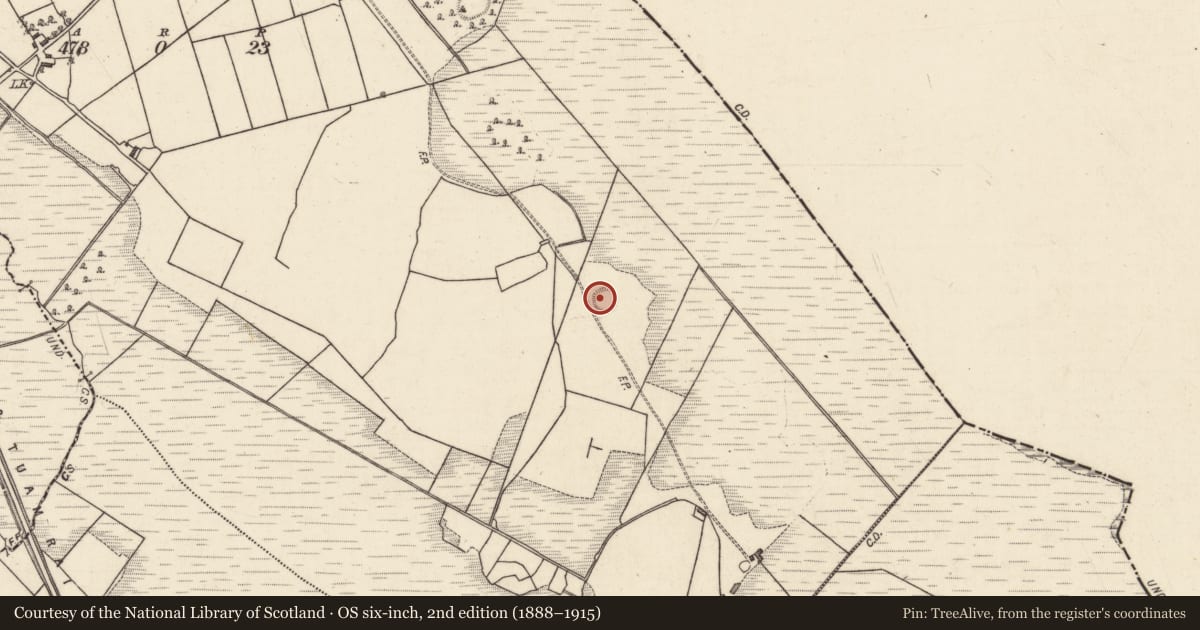 Ordnance Survey six-inch map, 2nd edition (1888–1915) covering the location of Ringfort - rath, Cloonrane, County Galway, with a pin at the register's coordinates