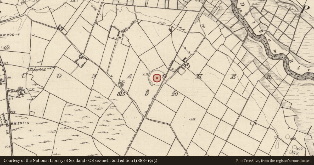 Ordnance Survey six-inch map, 2nd edition (1888–1915) covering the location of Ringfort - rath, Conagher, County Galway, with a pin at the register's coordinates