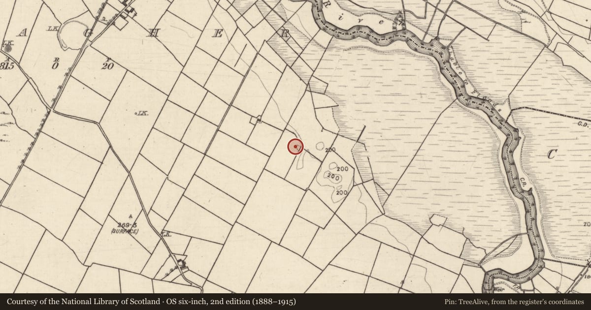 Ordnance Survey six-inch map, 2nd edition (1888–1915) covering the location of Children's burial ground, Conagher, County Galway, with a pin at the register's coordinates