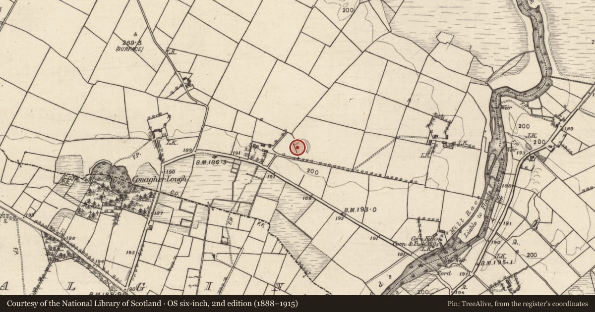Ordnance Survey six-inch map, 2nd edition (1888–1915) covering the location of Ringfort - rath, Conagher, County Galway, with a pin at the register's coordinates