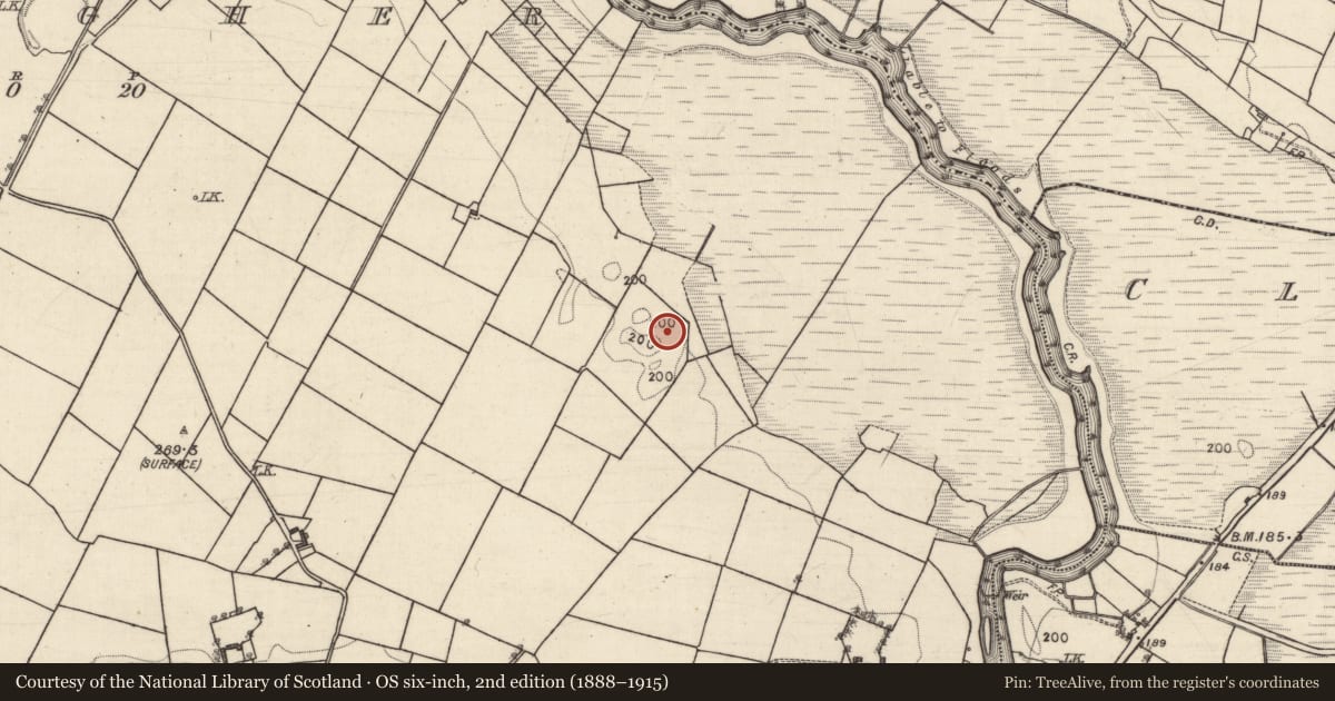Ordnance Survey six-inch map, 2nd edition (1888–1915) covering the location of Cross - Market cross, Conagher, County Galway, with a pin at the register's coordinates