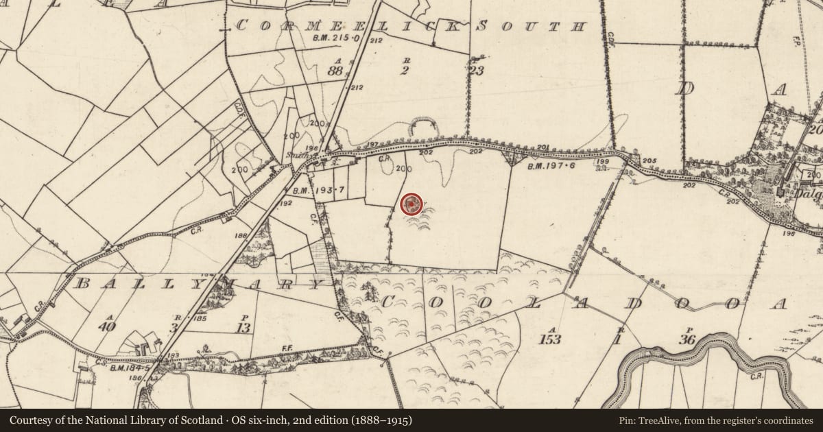 Ordnance Survey six-inch map, 2nd edition (1888–1915) covering the location of Ringfort - rath, Cooladooaun, County Galway, with a pin at the register's coordinates