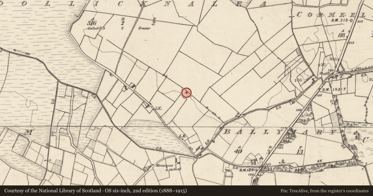 Ordnance Survey six-inch map, 2nd edition (1888–1915) covering the location of Ringfort - rath, Coollicknalea, County Galway, with a pin at the register's coordinates