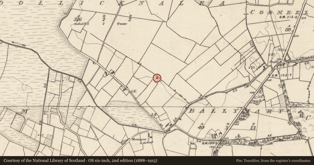 Ordnance Survey six-inch map, 2nd edition (1888–1915) covering the location of Souterrain, Coollicknalea, County Galway, with a pin at the register's coordinates