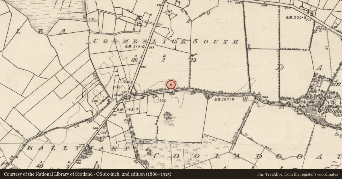 Ordnance Survey six-inch map, 2nd edition (1888–1915) covering the location of Ringfort - rath, Cormeelick South, County Galway, with a pin at the register's coordinates