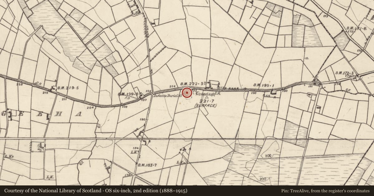 Ordnance Survey six-inch map, 2nd edition (1888–1915) covering the location of Children's burial ground, Curraghaderry, County Galway, with a pin at the register's coordinates