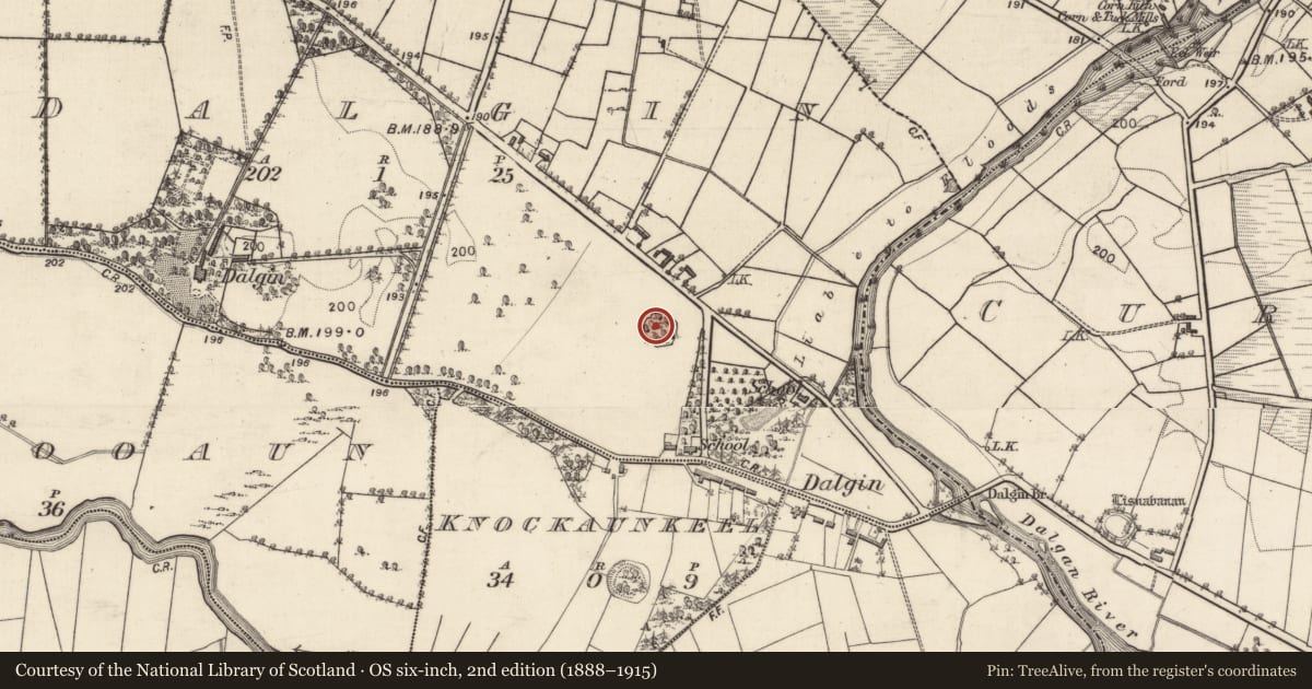 Ordnance Survey six-inch map, 2nd edition (1888–1915) covering the location of Ringfort - rath, Dalgin, County Galway, with a pin at the register's coordinates