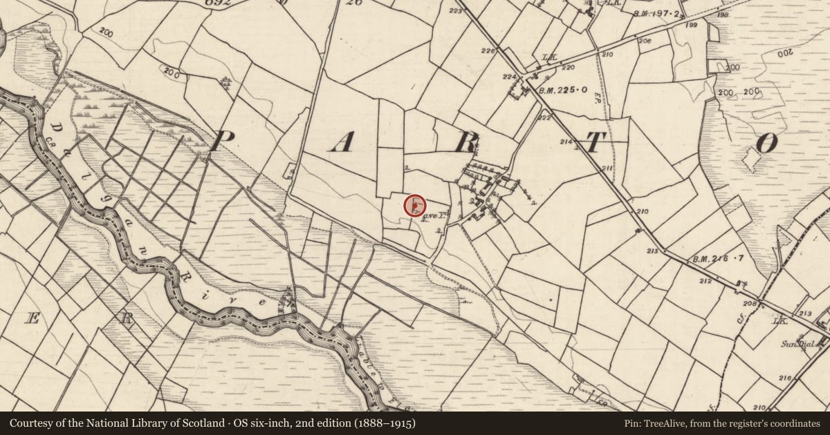 Ordnance Survey six-inch map, 2nd edition (1888–1915) covering the location of Church, Kinnakinelly, County Galway, with a pin at the register's coordinates