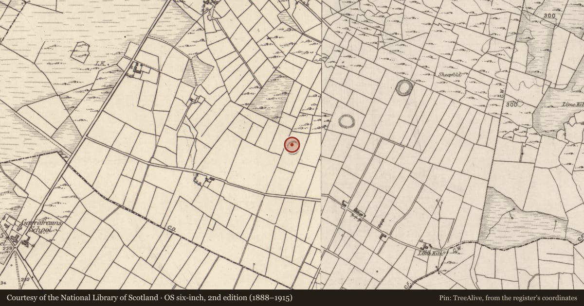 Ordnance Survey six-inch map, 2nd edition (1888–1915) covering the location of Ringfort - rath, Quinaltagh, County Galway, with a pin at the register's coordinates