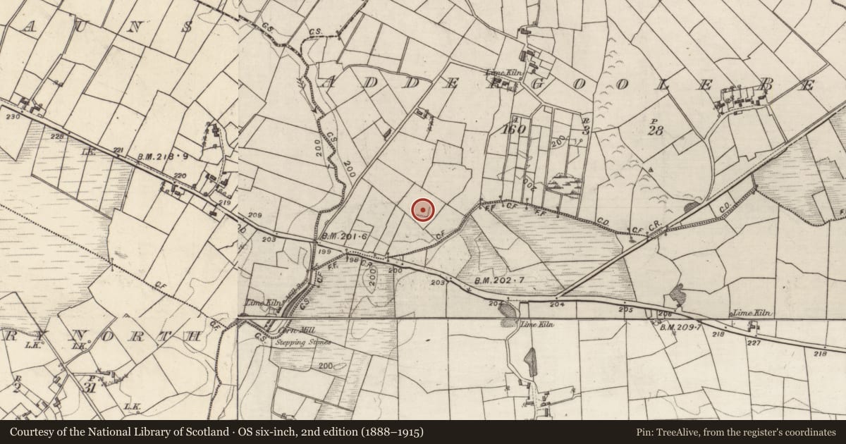 Ordnance Survey six-inch map, 2nd edition (1888–1915) covering the location of Ringfort - rath, Addergoole Beg, County Galway, with a pin at the register's coordinates