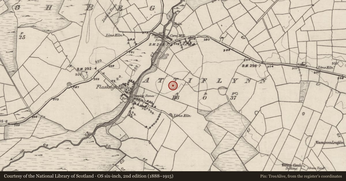 Ordnance Survey six-inch map, 2nd edition (1888–1915) covering the location of Ringfort - rath, Attiflynn, County Galway, with a pin at the register's coordinates