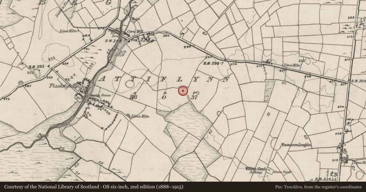 Ordnance Survey six-inch map, 2nd edition (1888–1915) covering the location of Ringfort - rath, Attiflynn, County Galway, with a pin at the register's coordinates