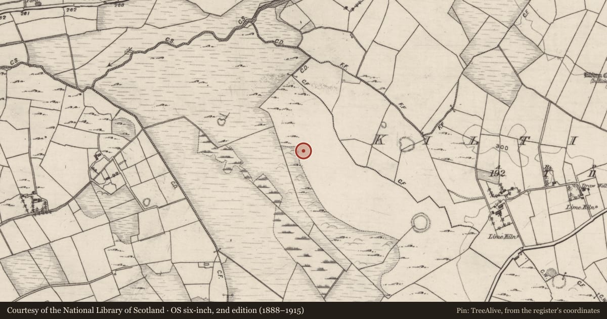 Ordnance Survey six-inch map, 2nd edition (1888–1915) covering the location of Souterrain, Ballaghdorragha, County Galway, with a pin at the register's coordinates