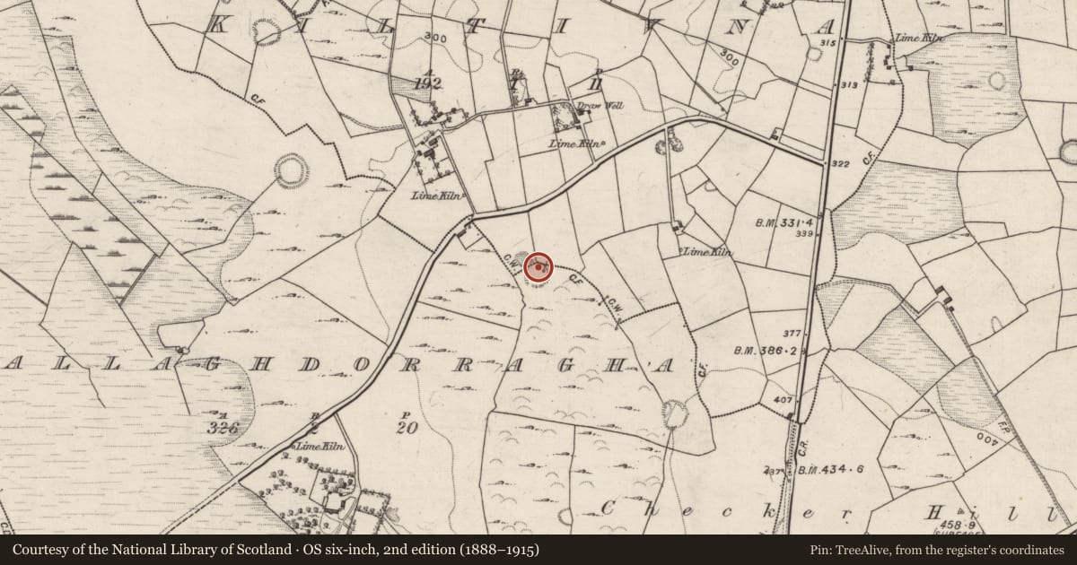 Ordnance Survey six-inch map, 2nd edition (1888–1915) covering the location of Ringfort - rath, Ballaghdorragha, Kiltivna, County Galway, with a pin at the register's coordinates