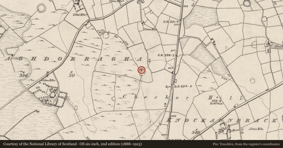 Ordnance Survey six-inch map, 2nd edition (1888–1915) covering the location of Ringfort - rath, Ballaghdorragha, County Galway, with a pin at the register's coordinates