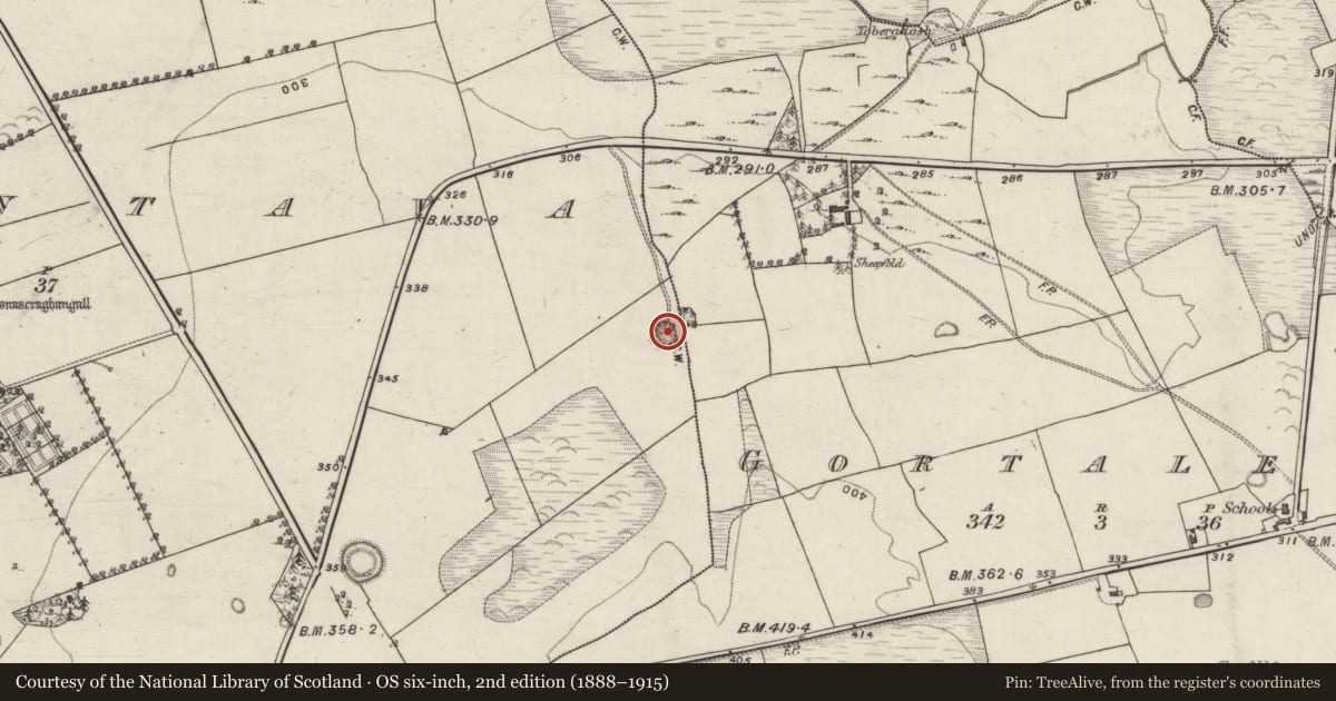 Ordnance Survey six-inch map, 2nd edition (1888–1915) covering the location of Quarry, Ballintava, County Galway, with a pin at the register's coordinates