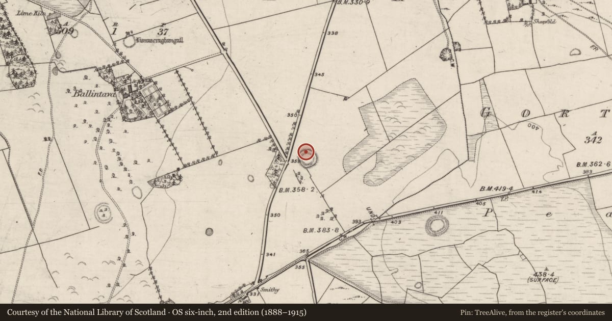 Ordnance Survey six-inch map, 2nd edition (1888–1915) covering the location of Ringfort - rath, Ballintava, County Galway, with a pin at the register's coordinates
