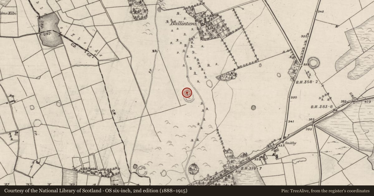 Ordnance Survey six-inch map, 2nd edition (1888–1915) covering the location of Ringfort - rath, Ballintava, County Galway, with a pin at the register's coordinates