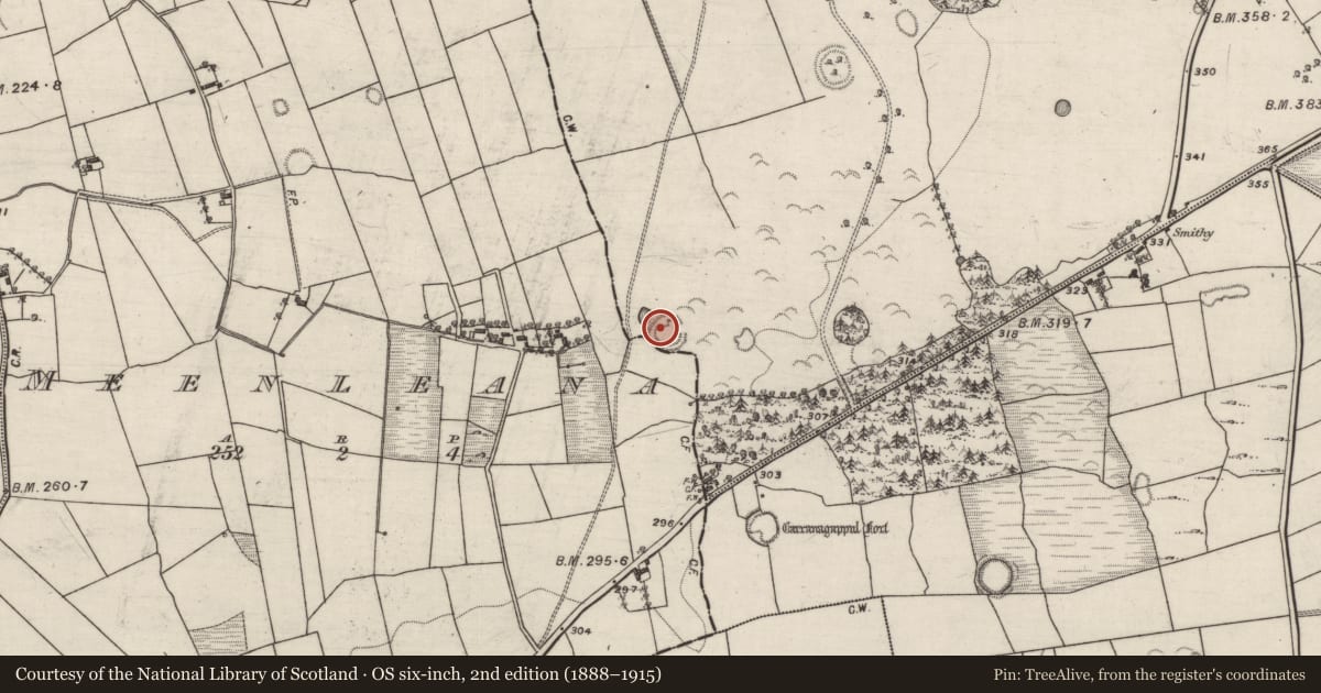 Ordnance Survey six-inch map, 2nd edition (1888–1915) covering the location of Ringfort - rath, Ballintava, Meenleana, County Galway, with a pin at the register's coordinates