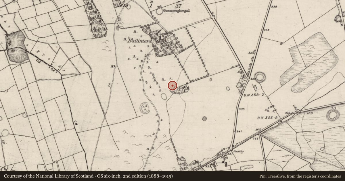 Ordnance Survey six-inch map, 2nd edition (1888–1915) covering the location of Ringfort - rath, Ballintava, County Galway, with a pin at the register's coordinates